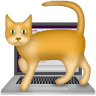 cat-on-the-laptop emoji